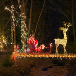 A reindeer pulls Santa and his sleigh in Amsdens’ yard in Saugus.