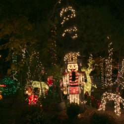 A nutcracker soldier lights up the Amsdens’ yard.