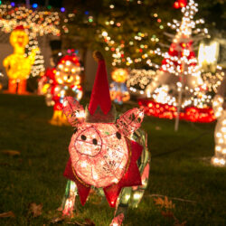 A pig dressed in elf’s clothing hogs the spotlight in the Guarinos’ display.