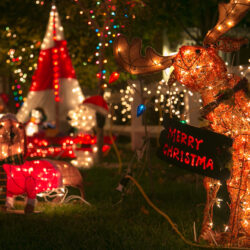 DropboxChooserAPI_Christmas-Lights-17